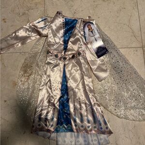 Disney Wish Princess Dress with Gold and Blue Accents